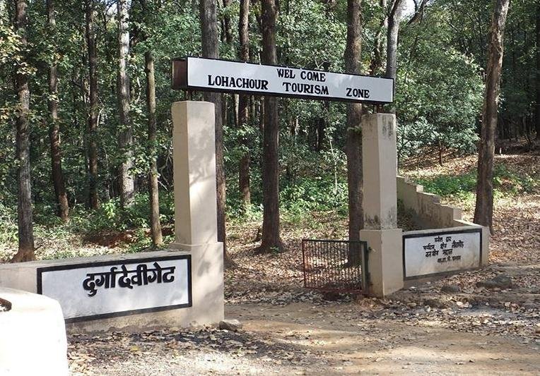 CREATOR: gd-jpeg v1.0 (using IJG JPEG v62), quality = 75